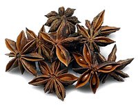 Chakra Phool (Star anise), Star anise exporters in India, Indian Star